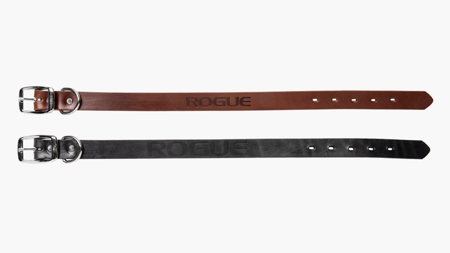 Rogue fitness hotsell dog collar